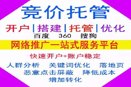 行业领先SEM服务公司案例研究
